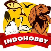 INDOHOBBY.com