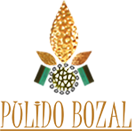 PULIDOBOZAL.com